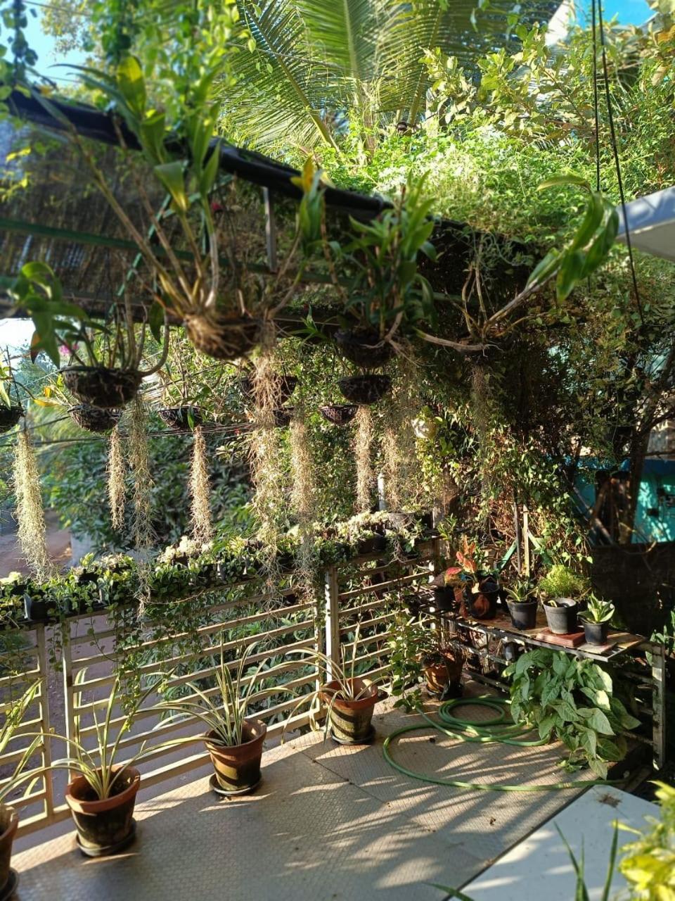 Chaithritha Ladies Homestay 트리반드룸 외부 사진
