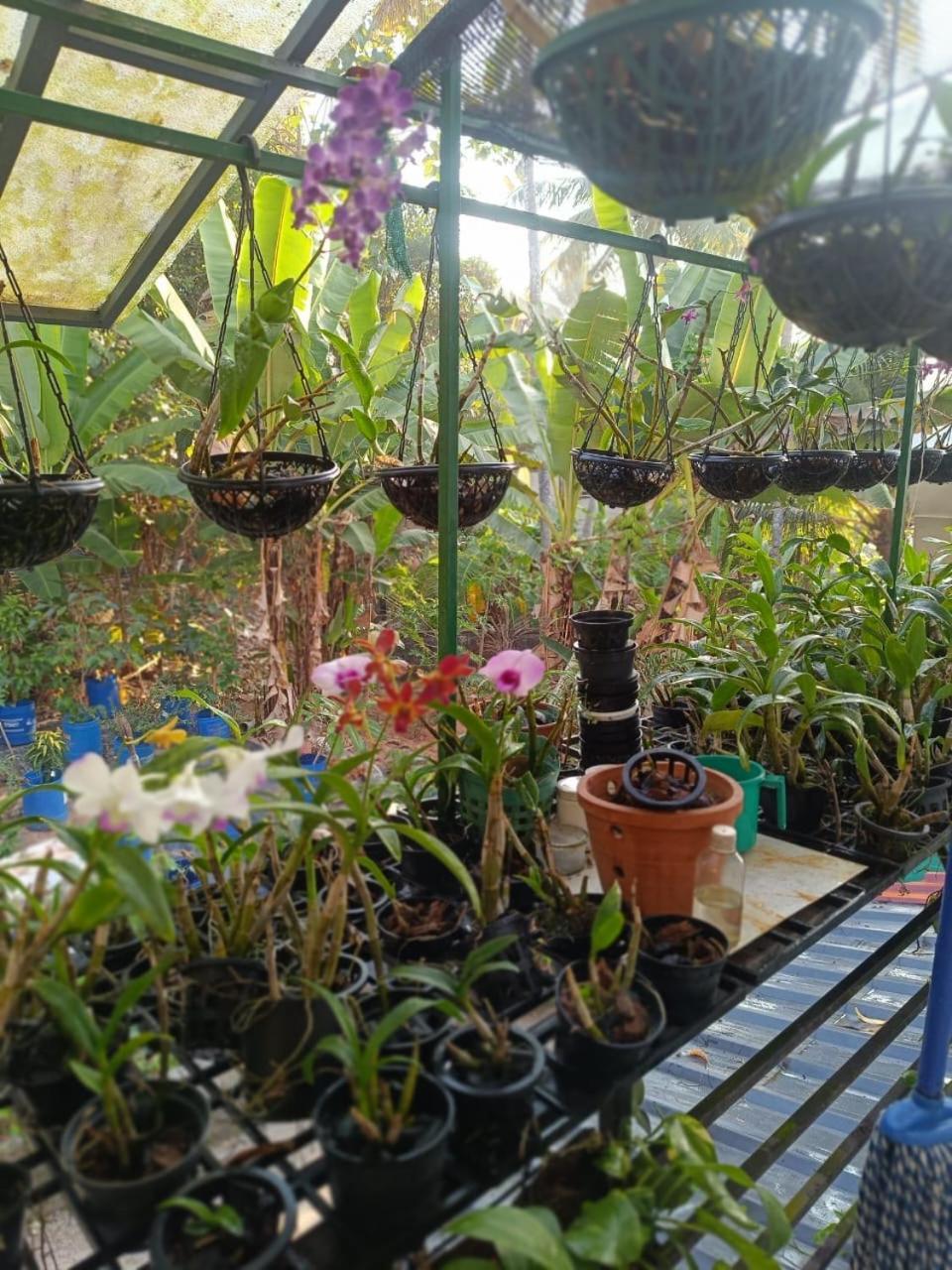 Chaithritha Ladies Homestay 트리반드룸 외부 사진