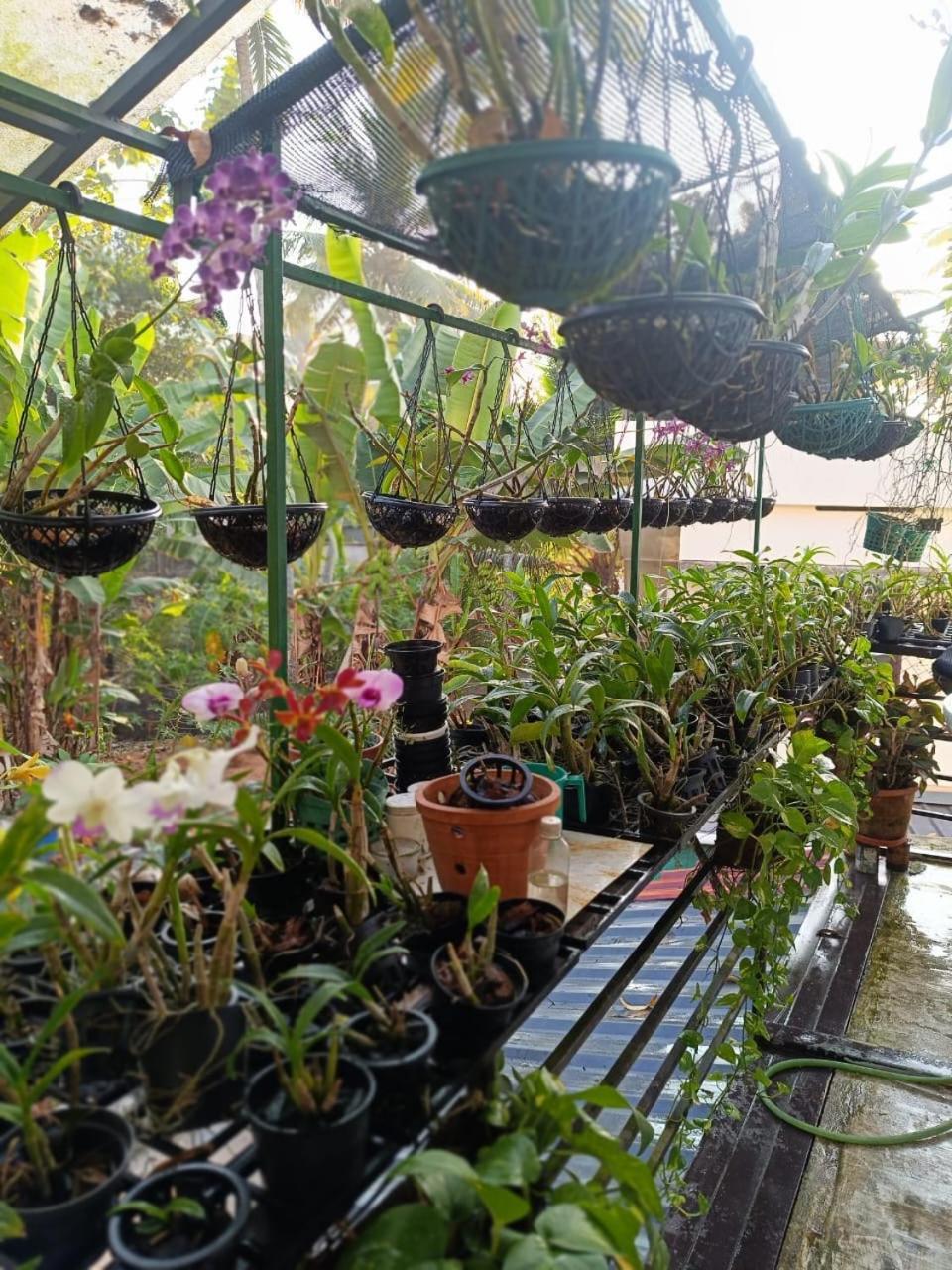 Chaithritha Ladies Homestay 트리반드룸 외부 사진