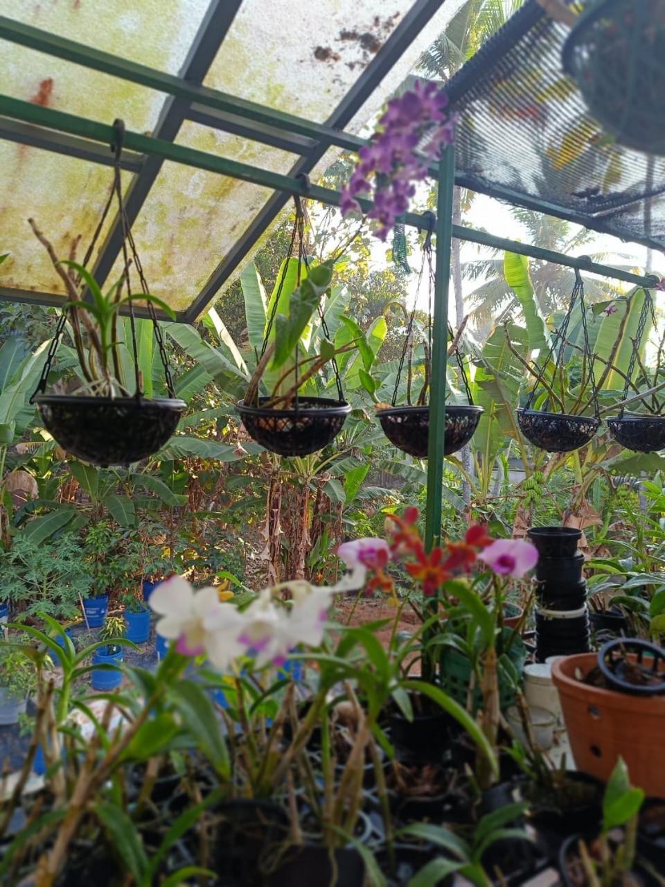 Chaithritha Ladies Homestay 트리반드룸 외부 사진